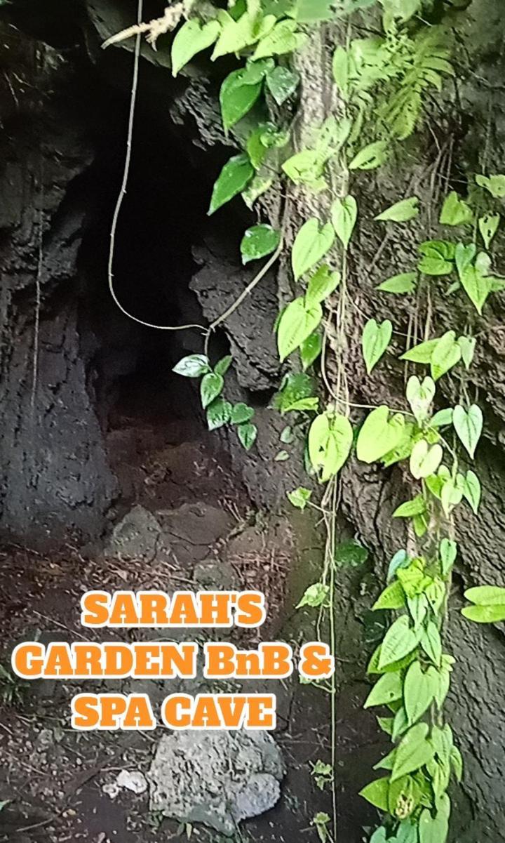 Bed and Breakfast Sarah'S Garden Bnb & Spa Clarin  Экстерьер фото